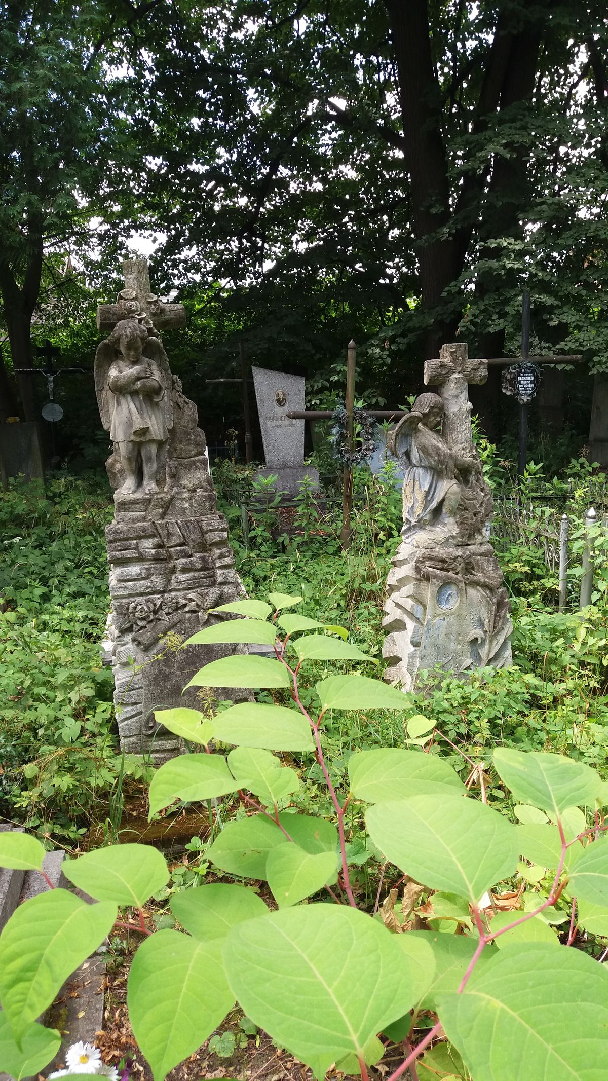 Polski cmentarz w partnerskim Drohobyczu