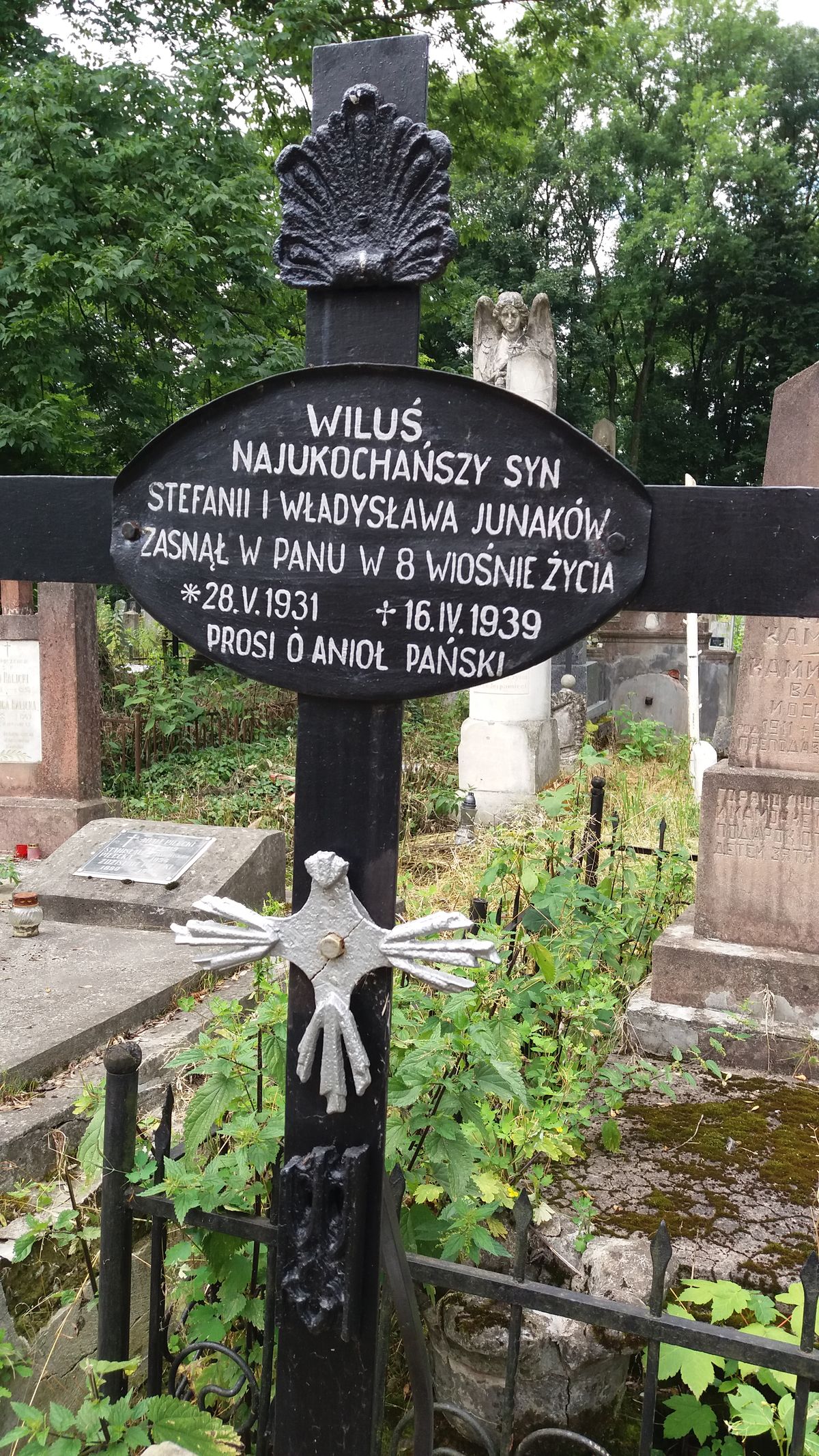 Polski cmentarz w partnerskim Drohobyczu