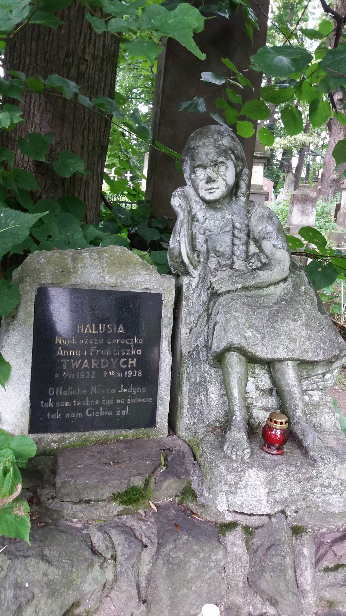 Polski cmentarz w partnerskim Drohobyczu