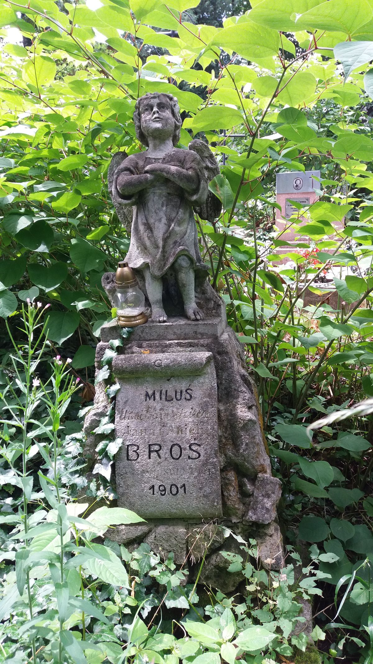 Polski cmentarz w partnerskim Drohobyczu