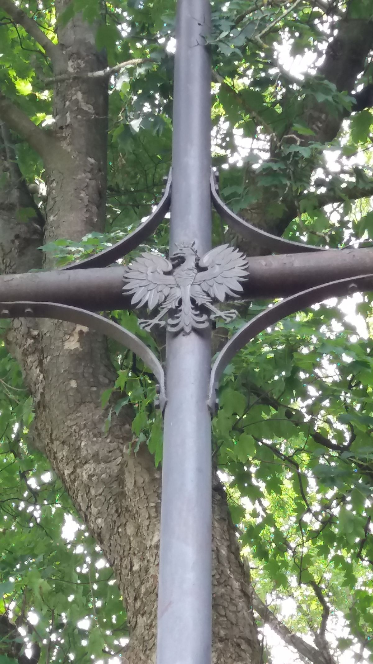 Polski cmentarz w partnerskim Drohobyczu