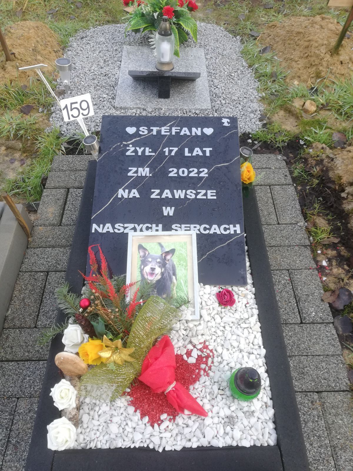 Pochować (jak) psa