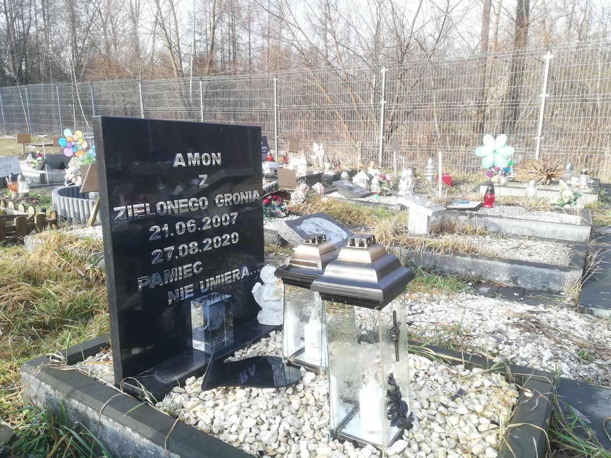 Pochować (jak) psa