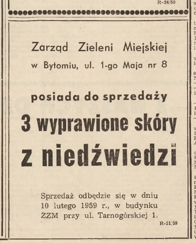 Śmierć pięknych misiów