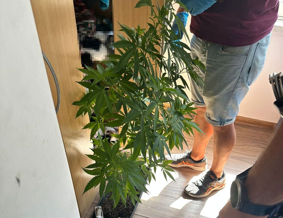  Znęcał się nad partnerką i uprawiał…