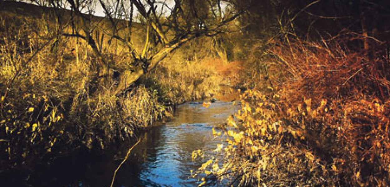 Dlaczego woda w Bytomce zrobiła się rdzawo-żółta?