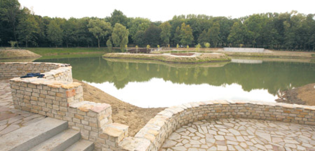 Bytom zielonym miastem?