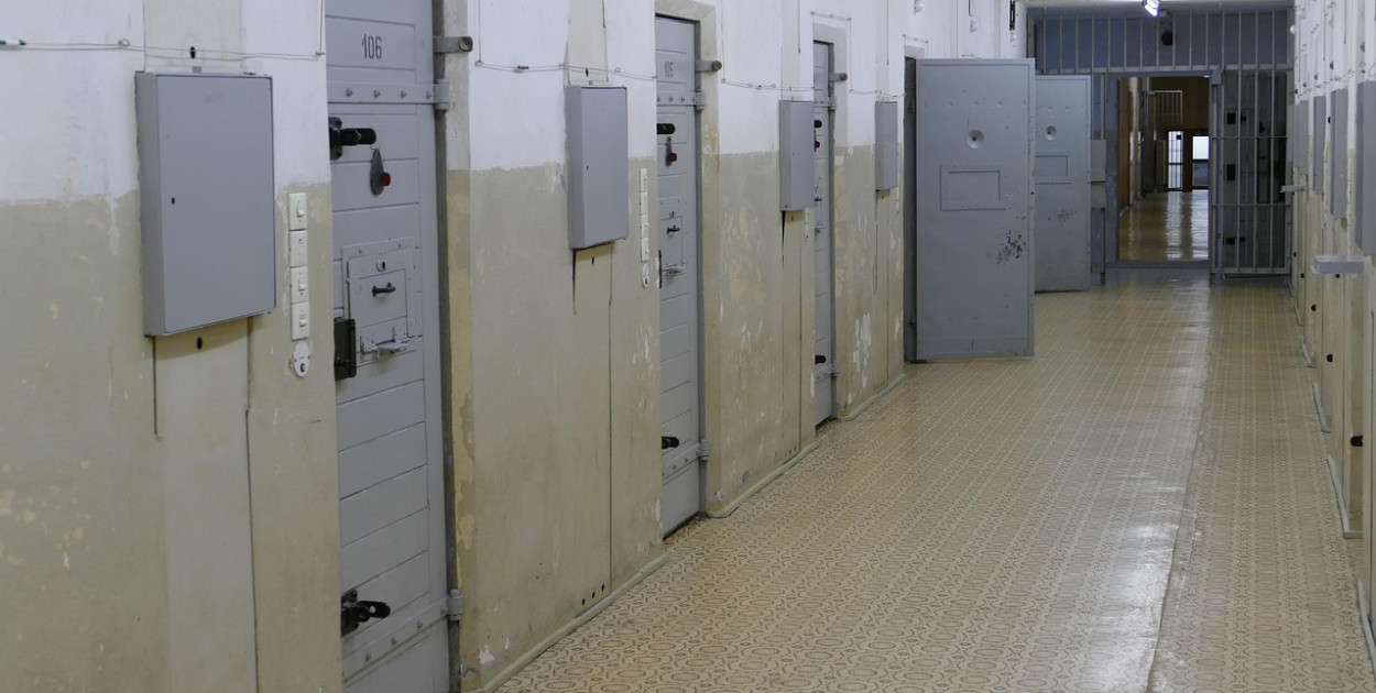 Obraz falco z Pixabay