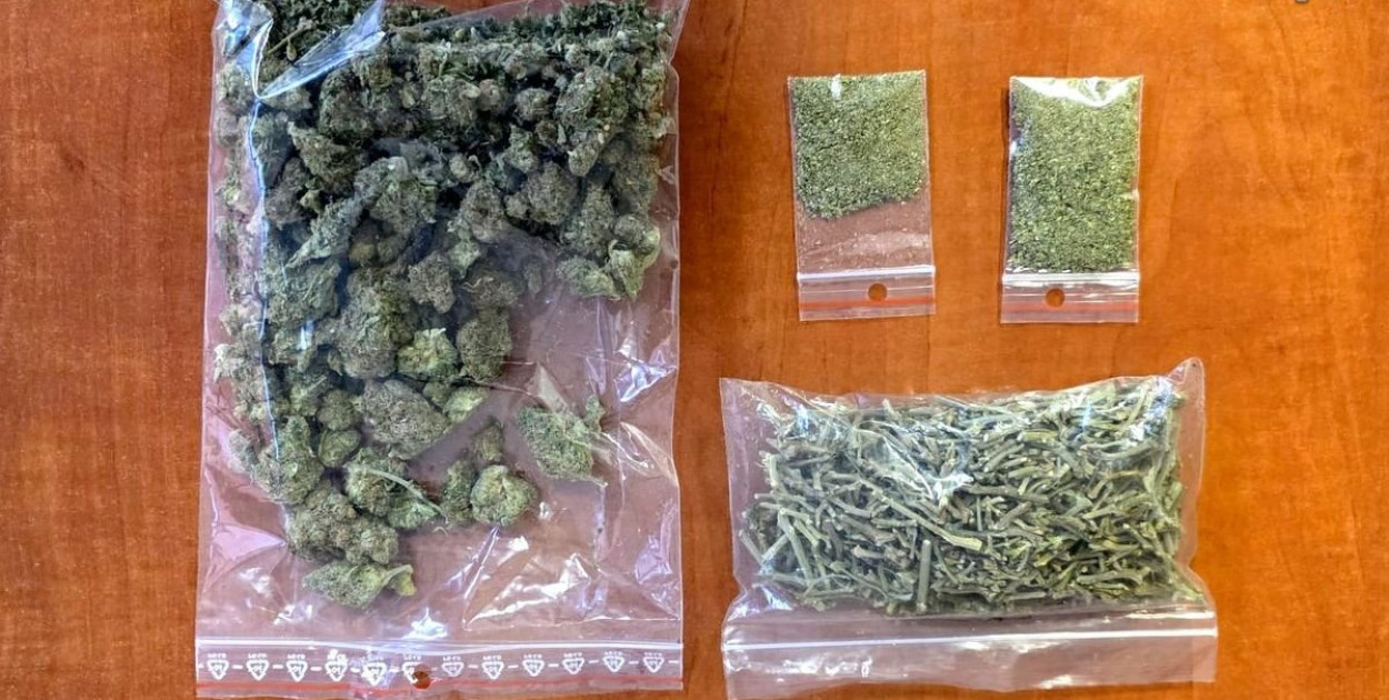 Marihuana z piwnicy jednego z bytomian