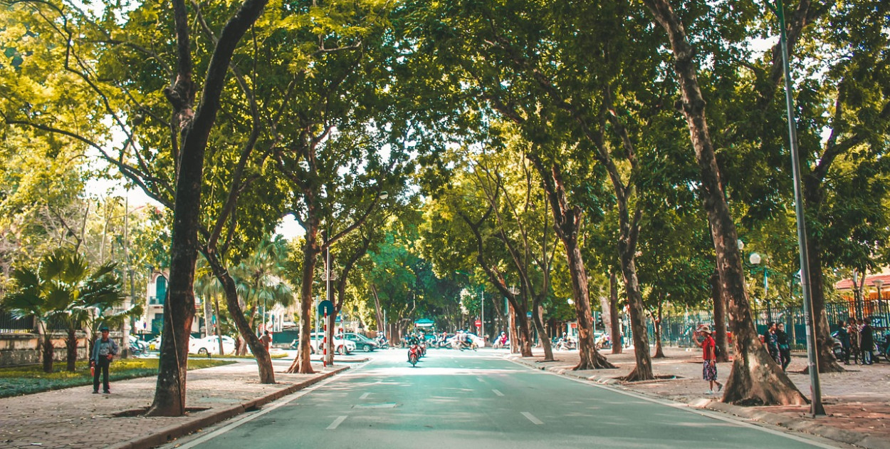 Obraz Do Khoa z Pixabay