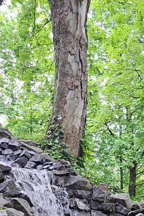 Źródło bije na Górze Miłości-635