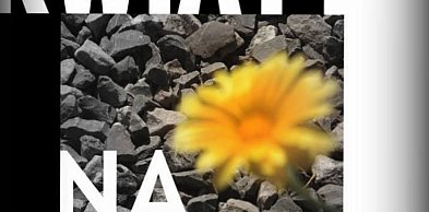 Napisz piosenkę poetycką