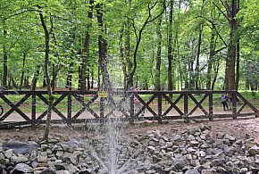 Źródło bije na Górze Miłości  [galeria]-28282