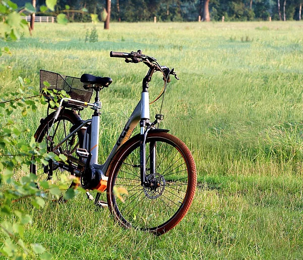 Rząd dopłaci do zakupu roweru. Nawet 4,5 tys. zł wsparcia-28314