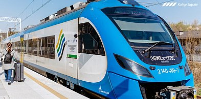 Koleje Śląskie jeżdżą pod estakadą!-28626