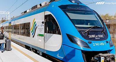 Koleje Śląskie jeżdżą pod estakadą!-28626