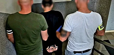 Posiedzi 10 lat za dilerkę-28782