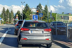 Egzamin na prawo jazdy będzie inny. Od 1 lipca nowe zasady-28825