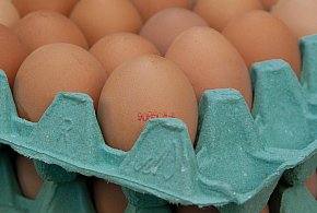 Salmonella na jajach znanej marki. Nie jedz, jeśli masz je w lodówce!-28914