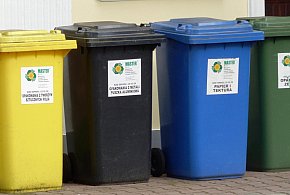 Koniec z darmowymi workami na śmieci. Tak zmieniają się zasady w gminach-29074