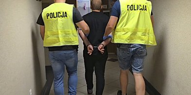 Seryjny przestępca zatrzymany-29392