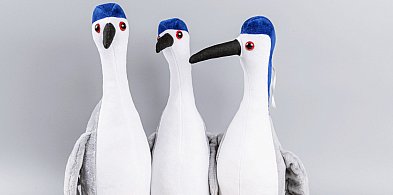 Ślepowron, nasza maskotka-29471