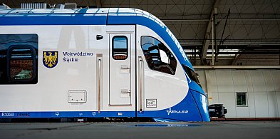 Darmowe przejazdy Kolejami Śląskimi na Memoriał Kamili Skolimowskiej-29500