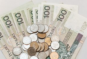 ZUS zdradza przyszłość Polaków. Jak niskie mogą być nasze emerytury?-29710