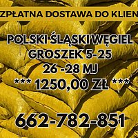 zdjecie ogloszenia