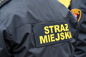 Zapuka strażnik, zapłacisz karę. Ruszyły kontrole w całej Polsce-30482