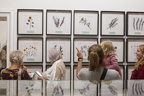 Leczyli nas znachorzy i... kaci-30830