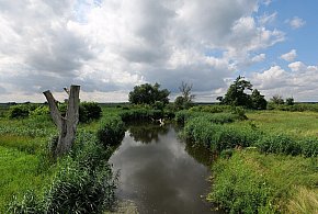 Co dalej z nowym parkiem narodowym? Minister klimatu zdradza plan po wecie-31060