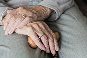 Te osoby dostaną dwie emerytury w grudniu. ZUS przesuwa przelewy-31322