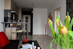 Rewolucja w wynajmie na doby. Nadchodzi koniec "wolnej amerykanki"-31543