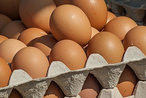 Salmonella wykryta w jajach! GIS wydał pilne ostrzeżenie-31781
