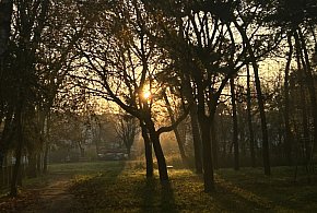 Nadchodzi najkrótszy dzień w 2025 roku. Sprawdź, kiedy przypadnie-31830