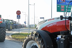 Rolnicy zapowiadają protest w całym kraju. Skala może zaskoczyć-32005