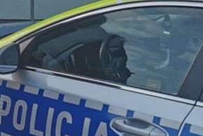 Nie miał prawka, a prowadził auto