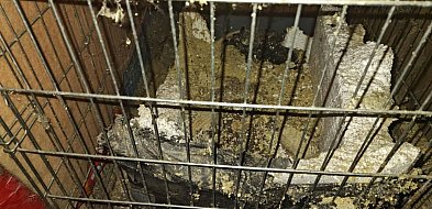 Makabryczne odkrycie przy Odrzańskiej-30779