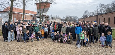 100 drzew na stulecie!-31115