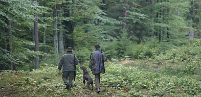 Myśliwi pójdą w las-31190