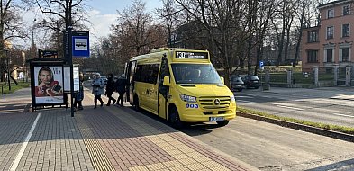 Minibusy wracają na trasy-31256