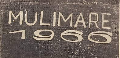 Mulimare i anarchiści z Bytomia-31578