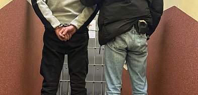 Wpadł kolejny przestępca-31608