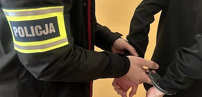 Nie baw się z policjantami w chowanego-31665