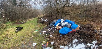 Wysoka kara za nielegalne odpady-31755