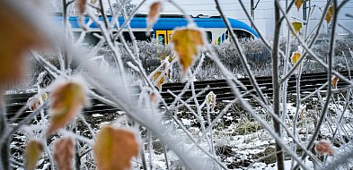 Materiał partnera: Nowy rok w Kolejach Śląskich zaczął się już 14 grudnia-31842