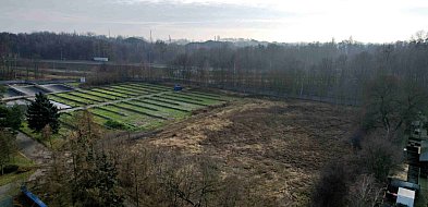 Tu oddasz śmieci-31857