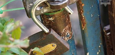 Wpadł złodziej z działek-31906