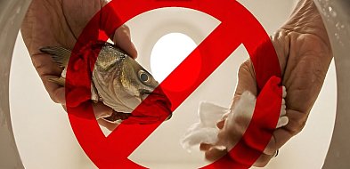 Hasiok, toaleta, kultura [opinia]-32119